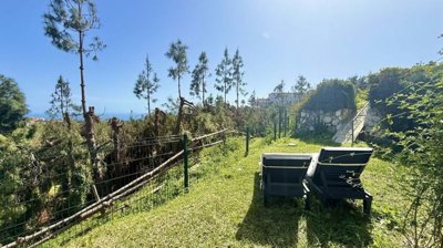 1447-662530-78d1f4f8b6655591b02d22fabb36a692d