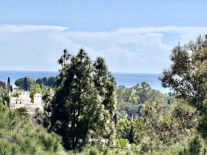 Image No.2-3 Bed Penthouse for sale