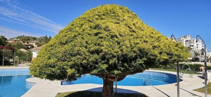 Image No.40-2 Bed Townhouse for sale