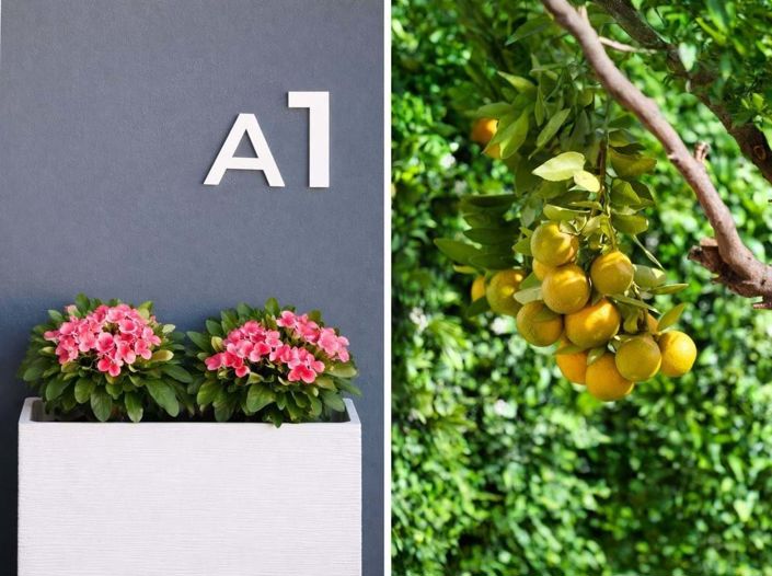 Image No.4-3 Bed Semi-Detached for sale