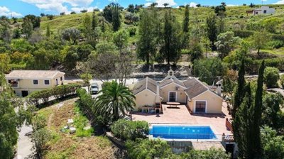 1447-662975-78d1f4f8b6655591b02d22fabb36a692d