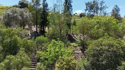 1447-662975-78d1f4f8b6655591b02d22fabb36a692d