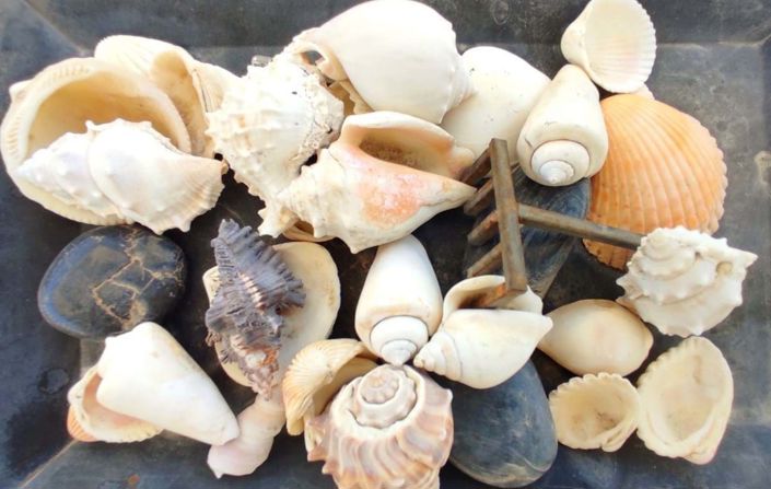 Image No.19-3 Bed Villa for sale