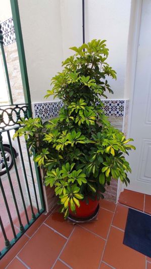 Image No.44-3 Bed Villa for sale