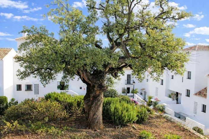 Image No.25-Penthouse de 2 chambres à vendre à Marbella