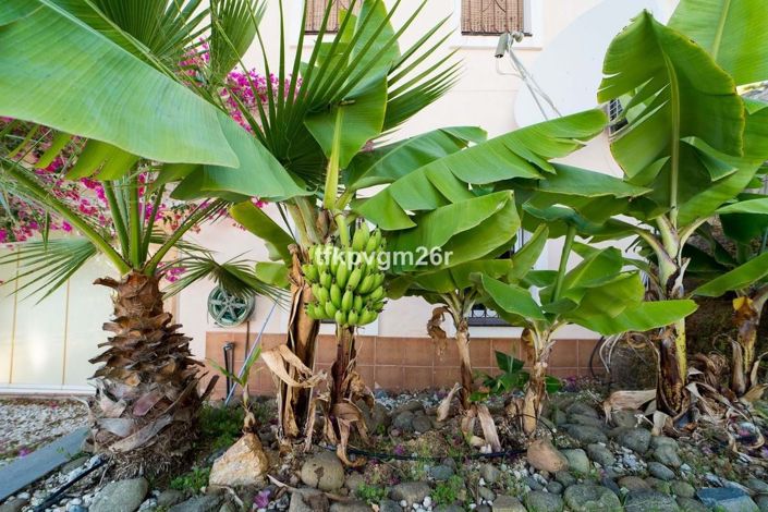 Image No.9-7 Bed Villa for sale