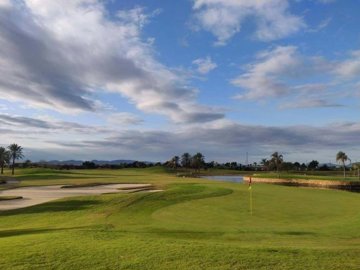 1447-664275-78d1f4f8b6655591b02d22fabb36a692d