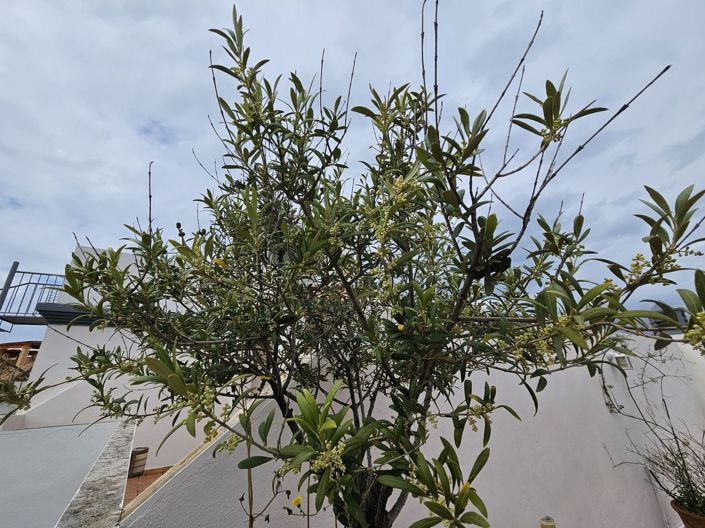 Image No.18-2 Bed Apartment for sale