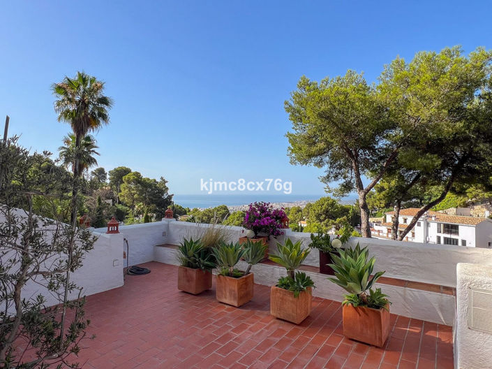 Image No.35-3 Bed Villa for sale