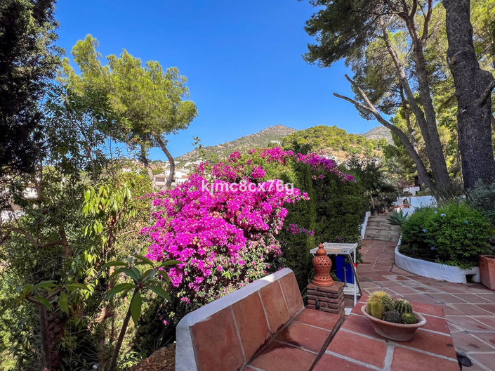 Image No.41-3 Bed Villa for sale