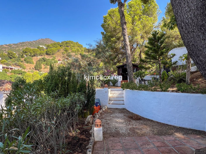 Image No.43-3 Bed Villa for sale