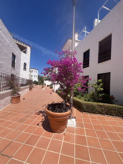 Image No.24-3 Bed Apartment for sale