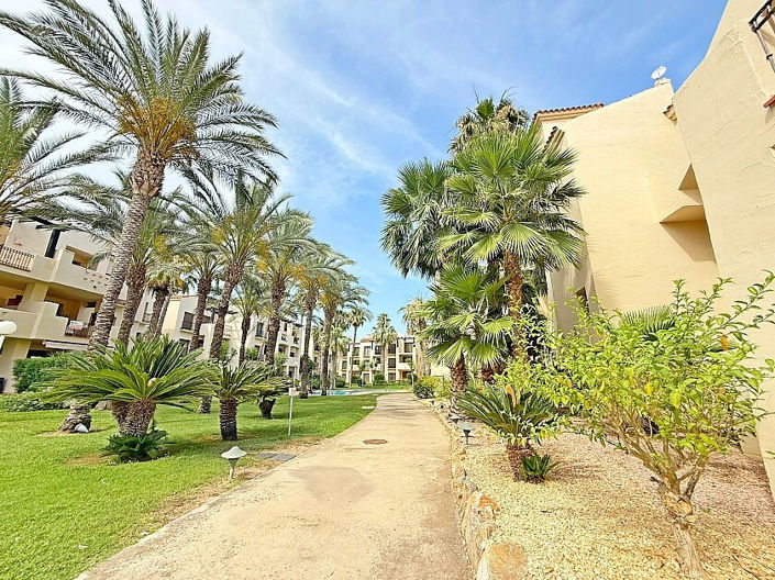 Image No.41-3 Bed Apartment for sale