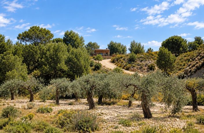 Image No.22-3 Bed Villa for sale