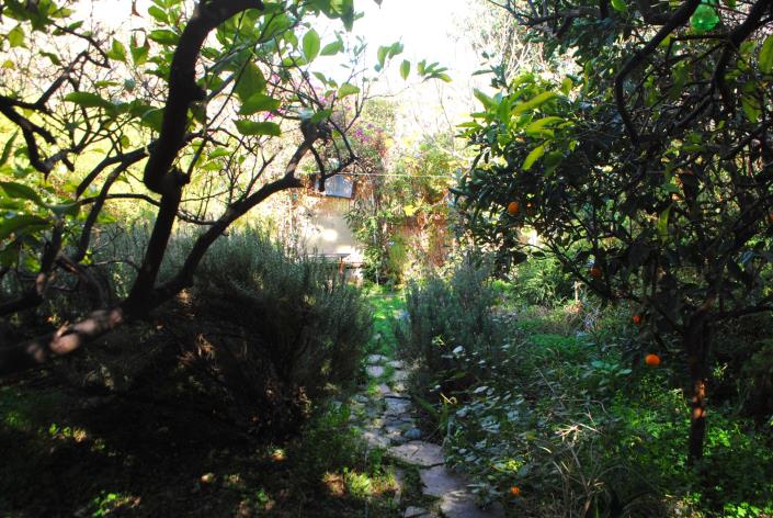 Image No.17-Maison / Villa de 3 chambres à vendre à Kritsa