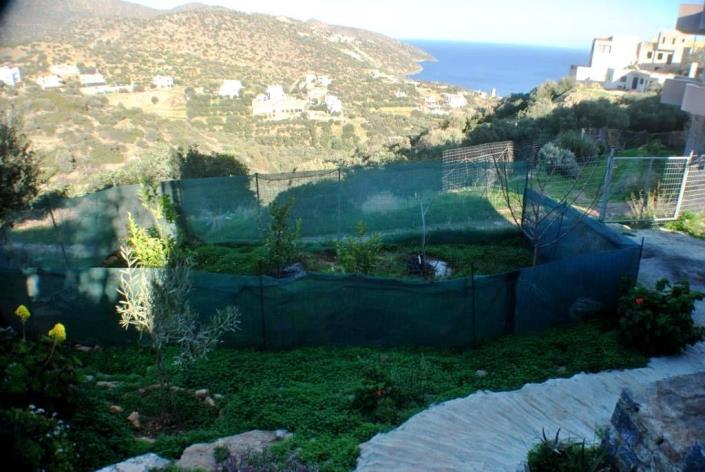 Image No.27-Maison / Villa de 3 chambres à vendre à Agios Nikolaos