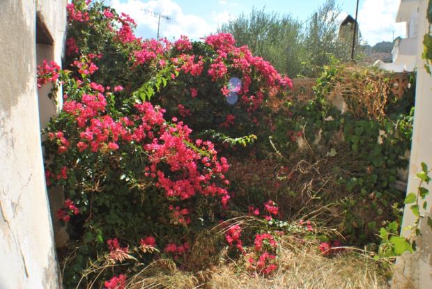 Image No.18-Maison de 2 chambres à vendre à Milatos