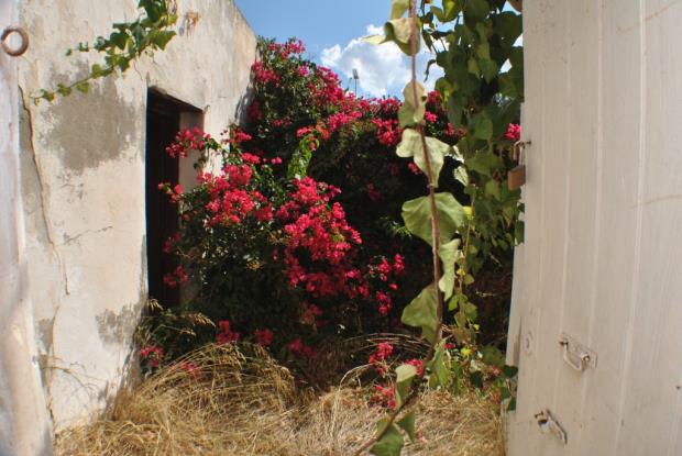 Image No.19-Maison de 2 chambres à vendre à Milatos