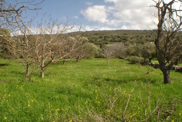 Image No.17-Maison / Villa de 2 chambres à vendre à Neapoli