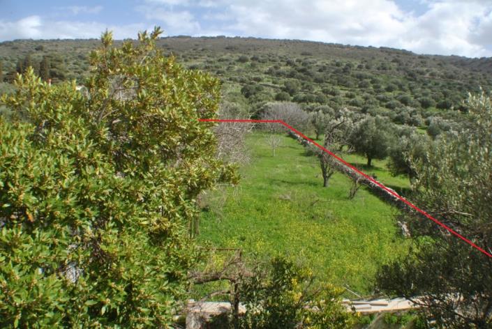 Image No.18-Maison / Villa de 2 chambres à vendre à Neapoli