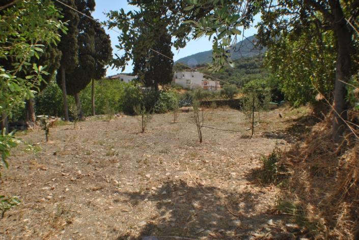 Image No.19-2 Bed House for sale