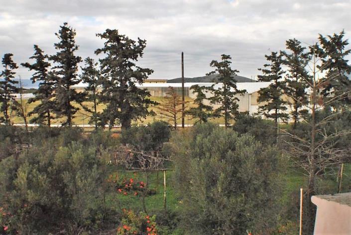 Image No.20-Maison / Villa de 4 chambres à vendre à Pacheia Ammos