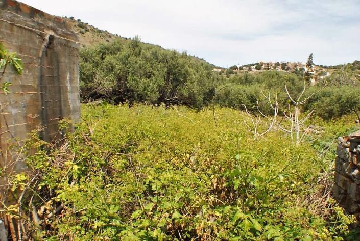 Image No.5-House for sale