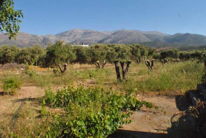 Image No.22-2 Bed Country House for sale