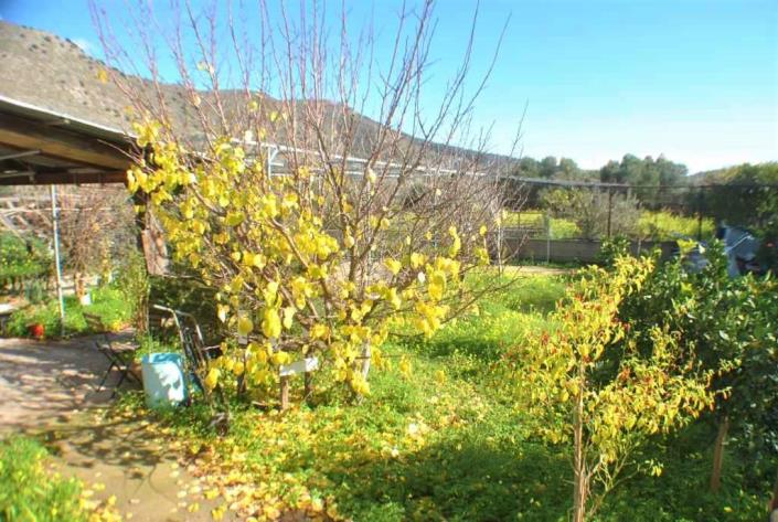 Image No.11-1 Bed House/Villa for sale