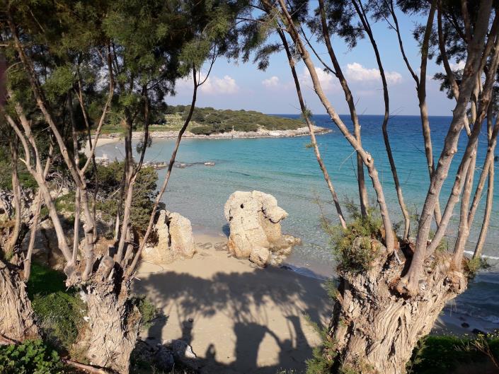 Image No.24-House for sale