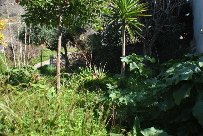 Image No.17-Maison / Villa de 1 chambre à vendre à Neapoli