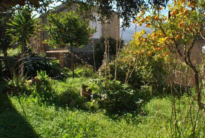 Image No.18-Maison / Villa de 1 chambre à vendre à Neapoli