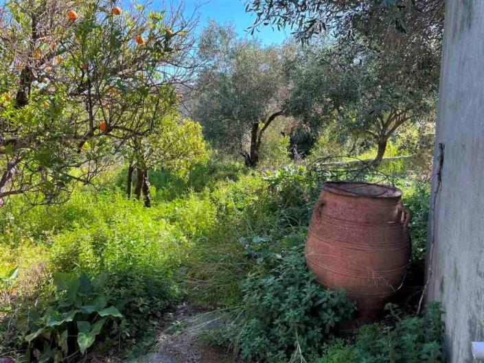 Image No.19-Maison de 2 chambres à vendre à Milatos