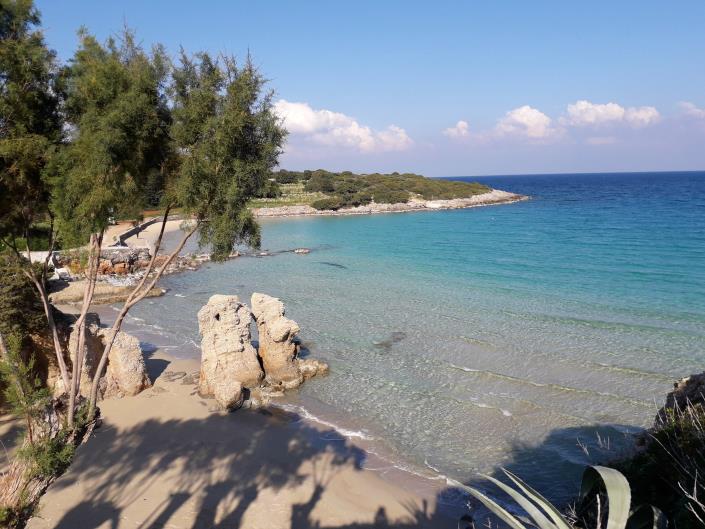 Image No.8-House/Villa for sale