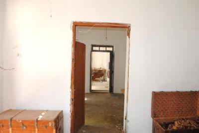 LOH29-G