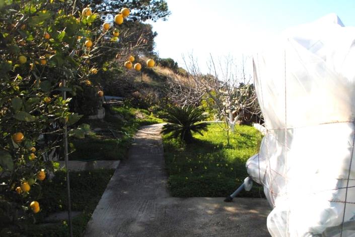 Image No.18-Maison / Villa de 2 chambres à vendre à Pacheia Ammos