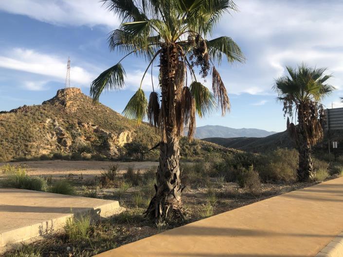 Image No.14-Maison de ville de 2 chambres à vendre à El  Pinar De Bédar