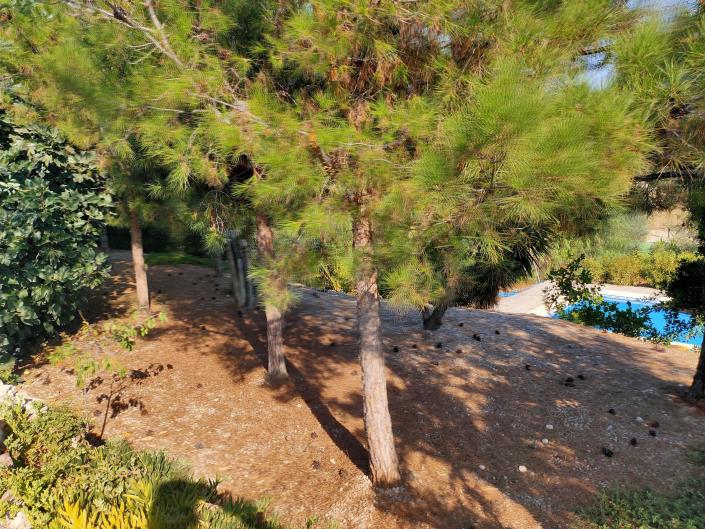 Image No.29-6 Bed Farmhouse for sale