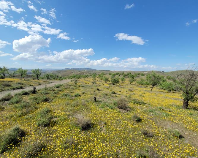 Image No.5-1 Bed Land for sale