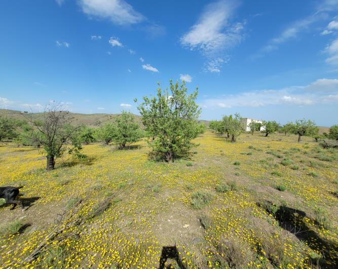 Image No.7-1 Bed Land for sale