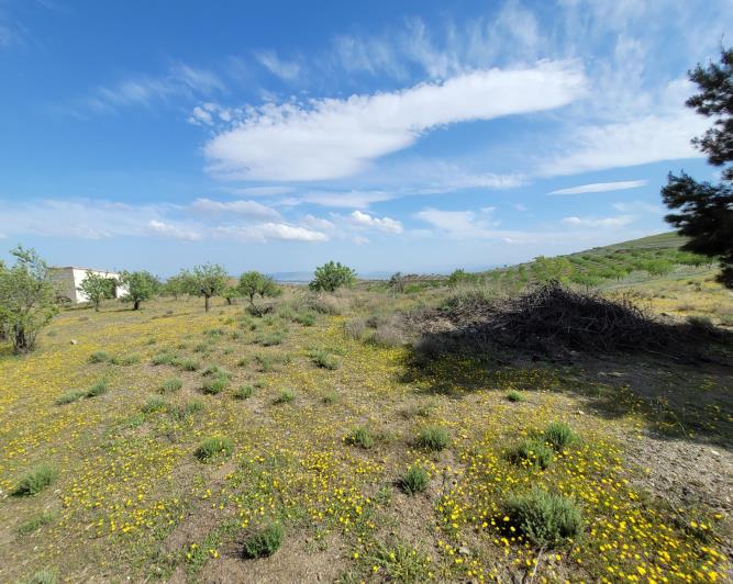 Image No.9-1 Bed Land for sale