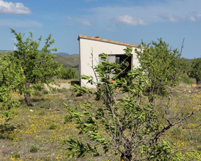 Image No.8-1 Bed Land for sale