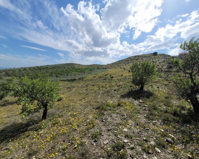 Image No.10-1 Bed Land for sale