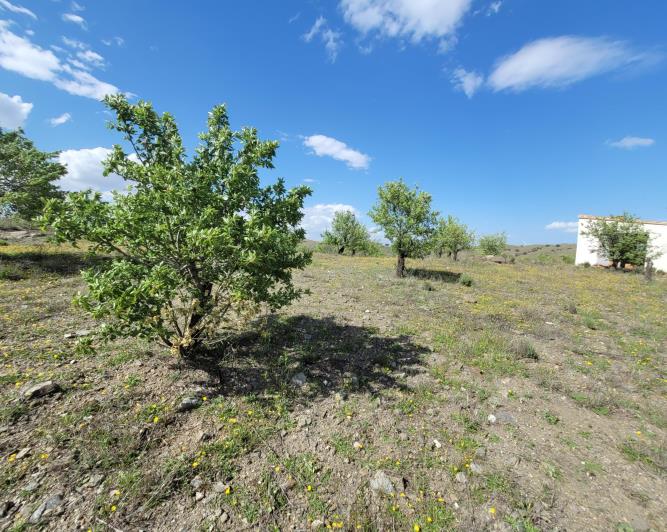 Image No.11-1 Bed Land for sale