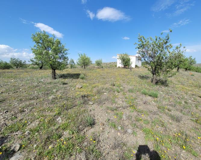 Image No.4-1 Bed Land for sale