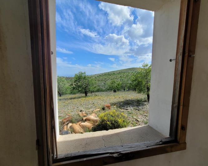 Image No.13-1 Bed Land for sale