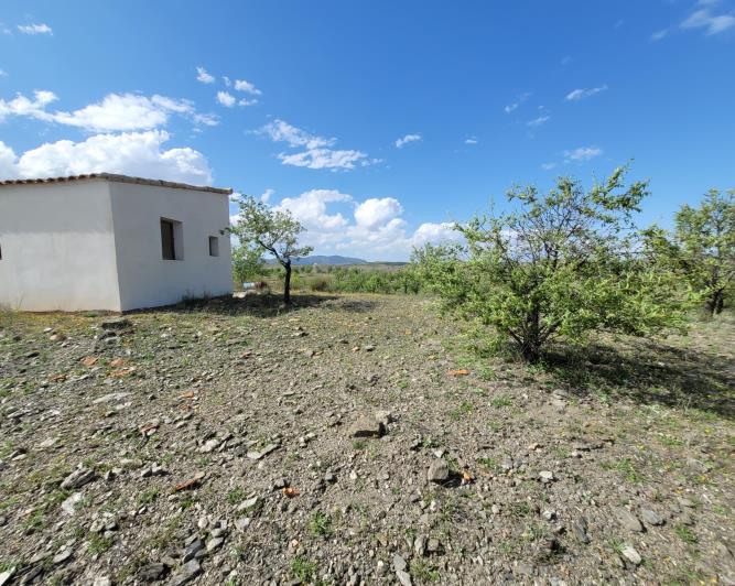 Image No.17-1 Bed Land for sale