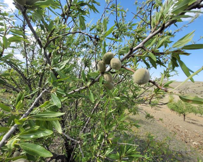 Image No.19-1 Bed Land for sale