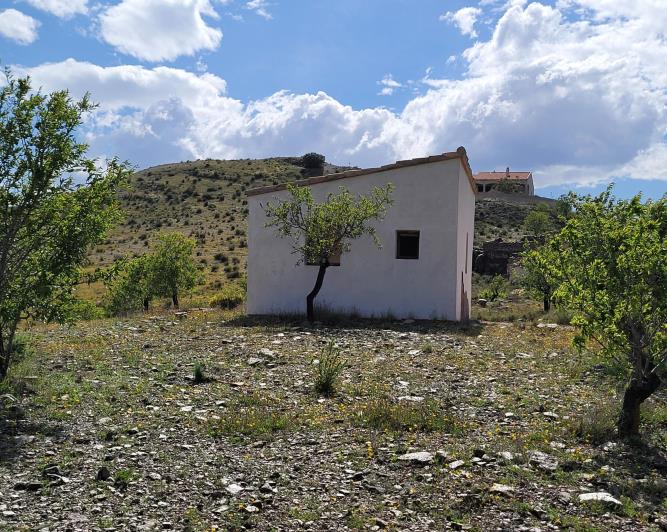 Image No.18-1 Bed Land for sale