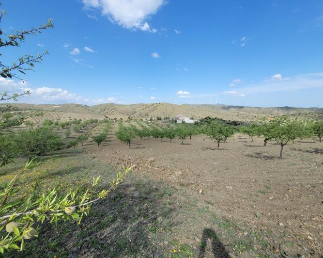 Image No.20-1 Bed Land for sale